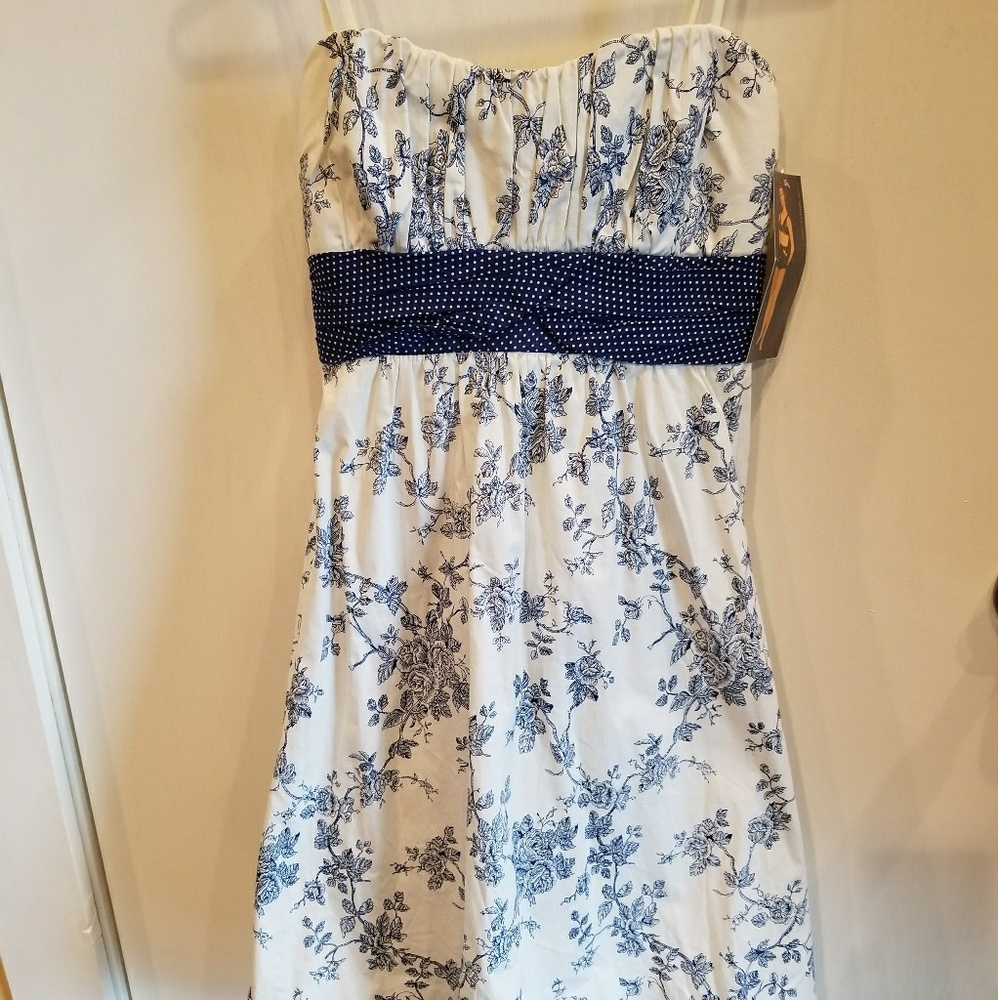 Vintage inspired dress NWT